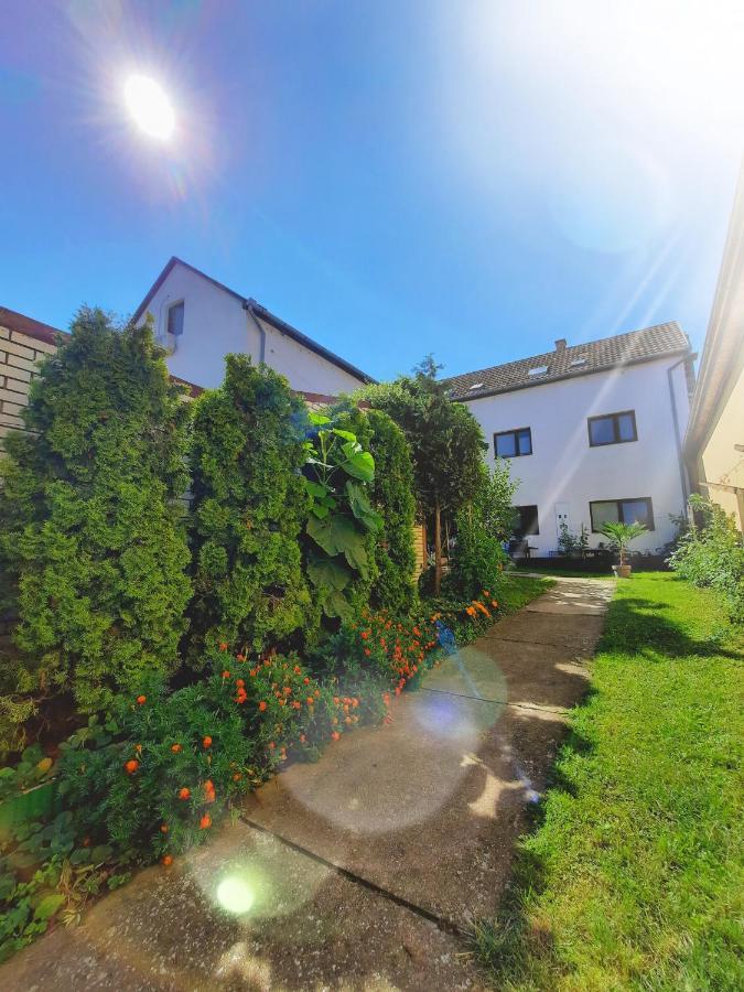 Apartmani Sunflower 스렘스키카를로브치 외부 사진