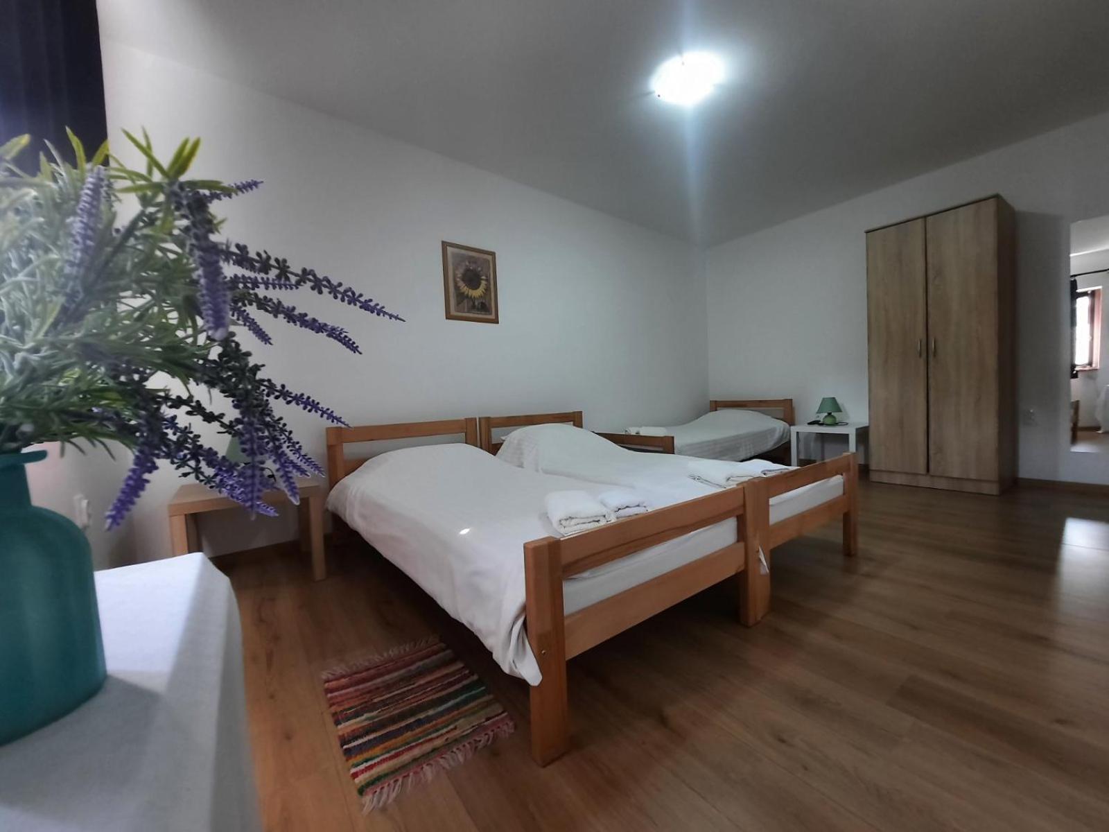 Apartmani Sunflower 스렘스키카를로브치 외부 사진