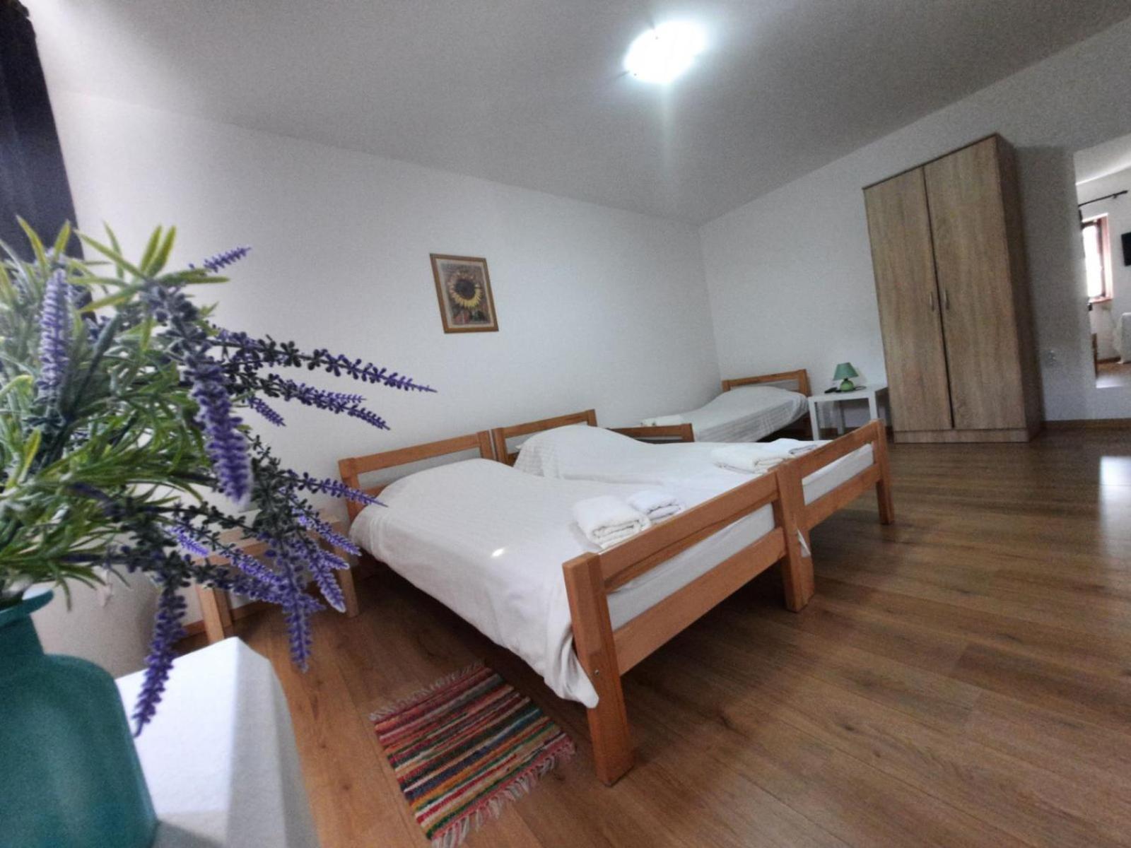 Apartmani Sunflower 스렘스키카를로브치 객실 사진