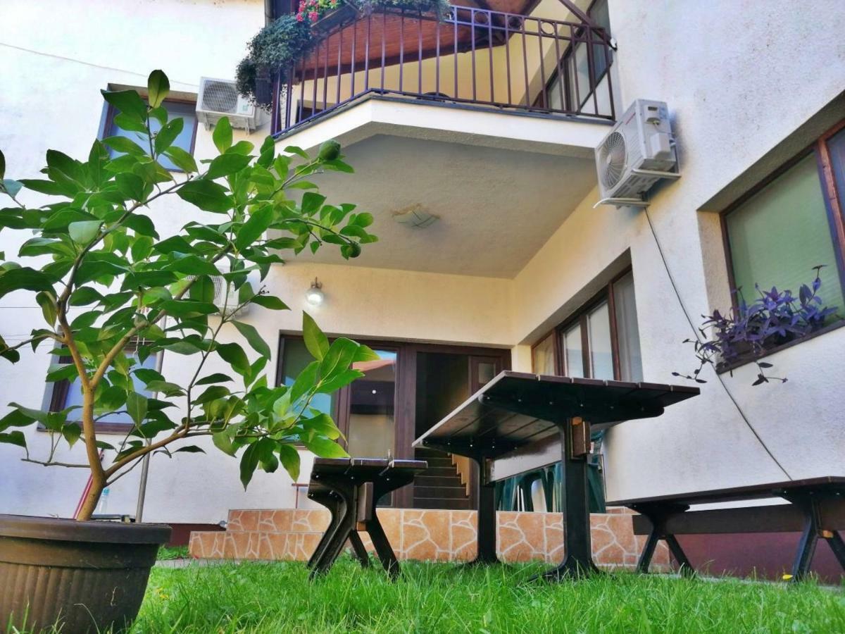 Apartmani Sunflower 스렘스키카를로브치 외부 사진